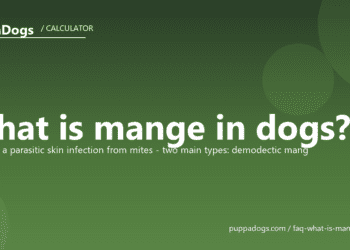 What is mange in dogs? - PuppaDogs FAQ
