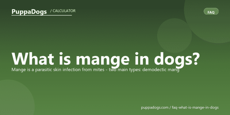 What is mange in dogs? - PuppaDogs FAQ