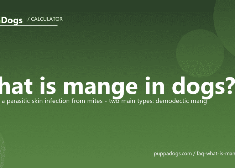 What is mange in dogs? - PuppaDogs FAQ
