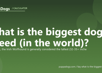 What is the biggest dog breed (in the world)? - PuppaDogs FAQ