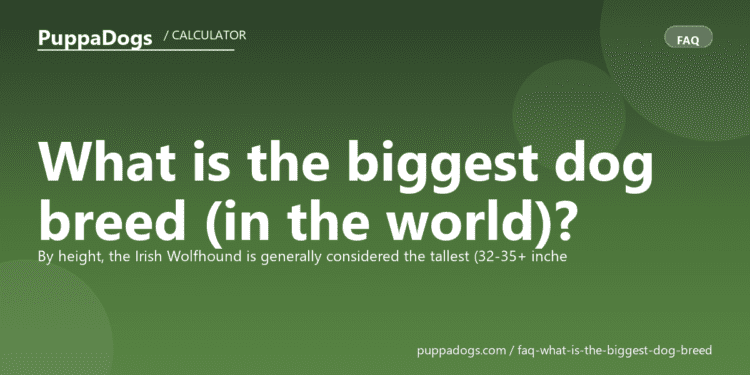 What is the biggest dog breed (in the world)? - PuppaDogs FAQ