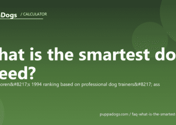 What is the smartest dog breed? - PuppaDogs FAQ