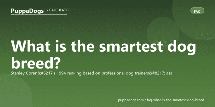 What is the smartest dog breed? - PuppaDogs FAQ