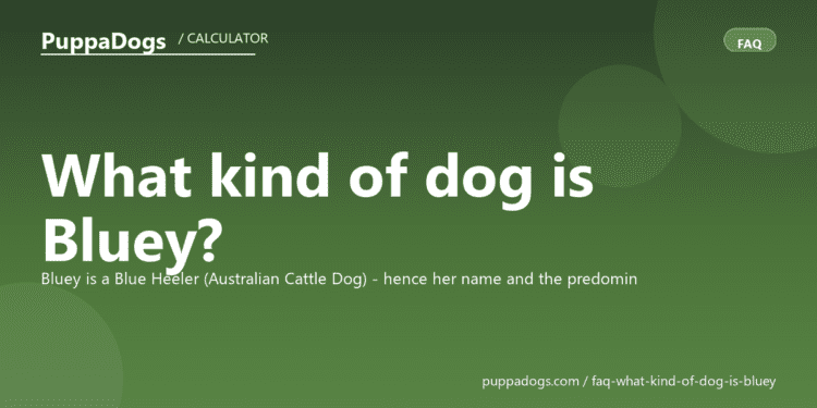 What kind of dog is Bluey? - PuppaDogs FAQ