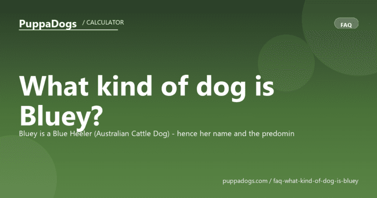 What kind of dog is Bluey? - PuppaDogs FAQ