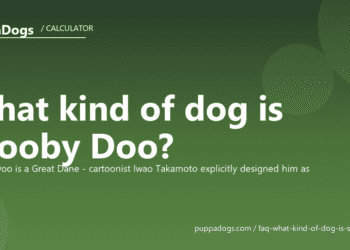 What kind of dog is Scooby Doo? - PuppaDogs FAQ