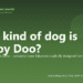 What kind of dog is Scooby Doo? - PuppaDogs FAQ