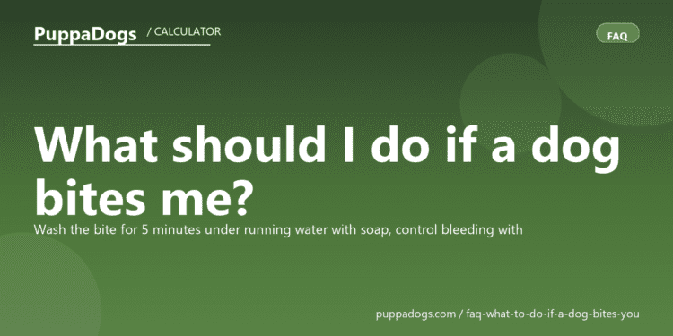 What should I do if a dog bites me? - PuppaDogs FAQ
