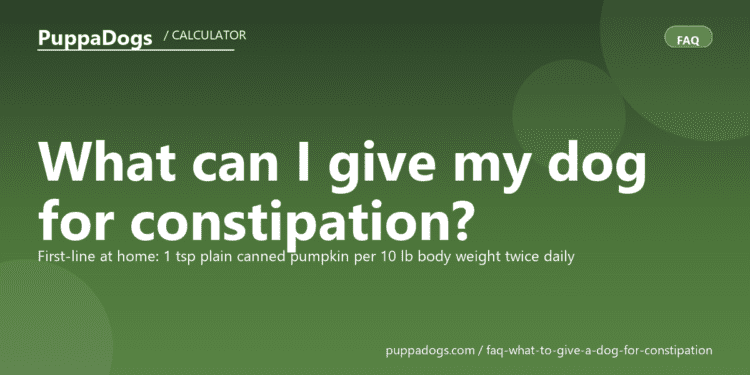 What can I give my dog for constipation? - PuppaDogs FAQ