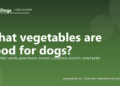 What vegetables are good for dogs? - PuppaDogs FAQ