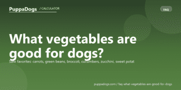 What vegetables are good for dogs? - PuppaDogs FAQ