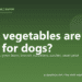 What vegetables are good for dogs? - PuppaDogs FAQ