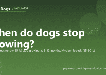 When do dogs stop growing? - PuppaDogs FAQ