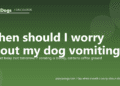 When should I worry about my dog vomiting? - PuppaDogs FAQ