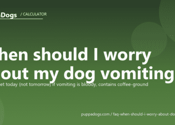 When should I worry about my dog vomiting? - PuppaDogs FAQ