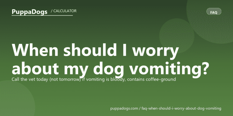 When should I worry about my dog vomiting? - PuppaDogs FAQ