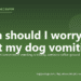 When should I worry about my dog vomiting? - PuppaDogs FAQ