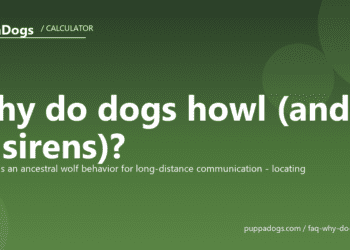 Why do dogs howl (and at sirens)? - PuppaDogs FAQ
