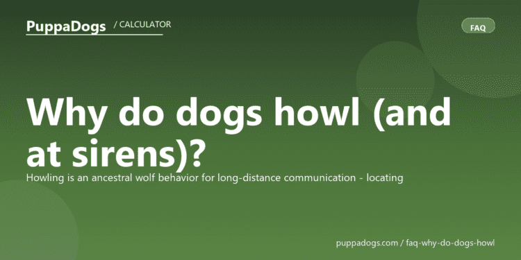 Why do dogs howl (and at sirens)? - PuppaDogs FAQ