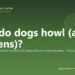 Why do dogs howl (and at sirens)? - PuppaDogs FAQ