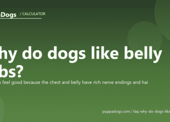Why do dogs like belly rubs? - PuppaDogs FAQ