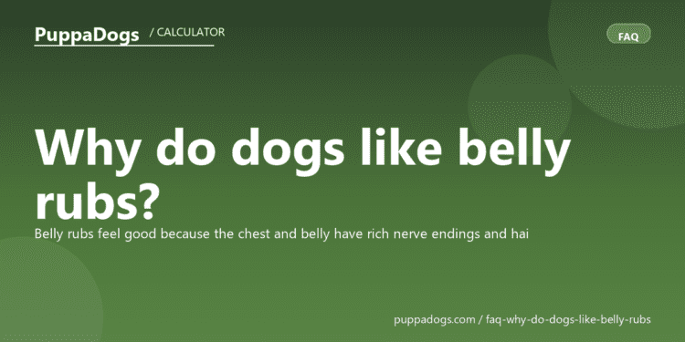 Why do dogs like belly rubs? - PuppaDogs FAQ