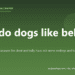 Why do dogs like belly rubs? - PuppaDogs FAQ