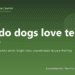Why do dogs love tennis balls? - PuppaDogs FAQ