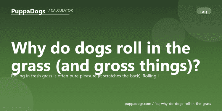 Why do dogs roll in the grass (and gross things)? - PuppaDogs FAQ