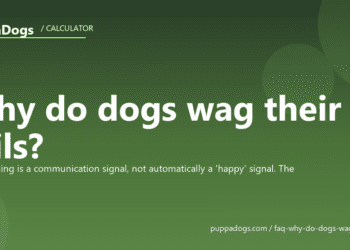 Why do dogs wag their tails? - PuppaDogs FAQ