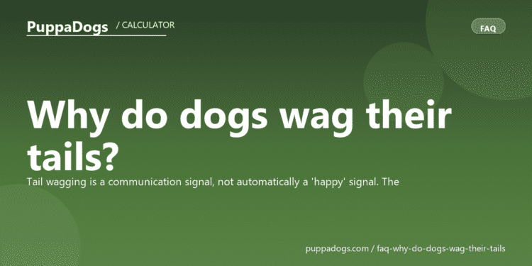 Why do dogs wag their tails? - PuppaDogs FAQ