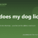 Why does my dog lick my feet? - PuppaDogs FAQ