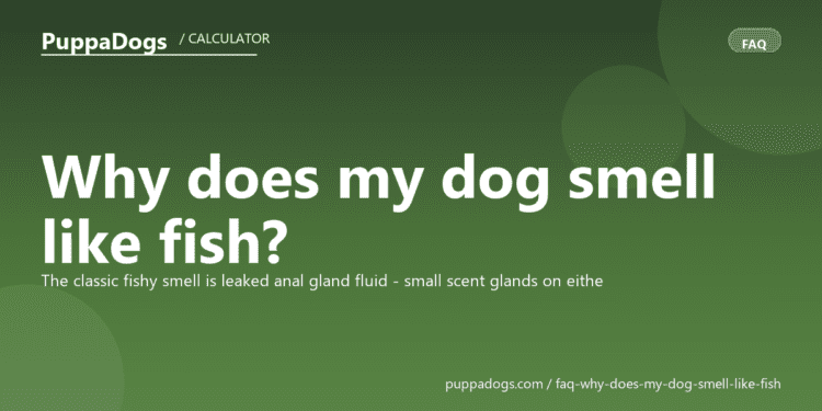 Why does my dog smell like fish? - PuppaDogs FAQ