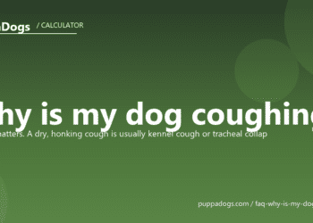 Why is my dog coughing? - PuppaDogs FAQ