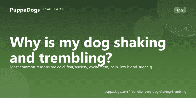 Why is my dog shaking and trembling? - PuppaDogs FAQ