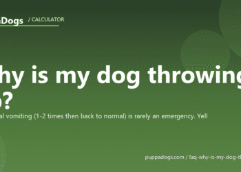 Why is my dog throwing up? - PuppaDogs FAQ