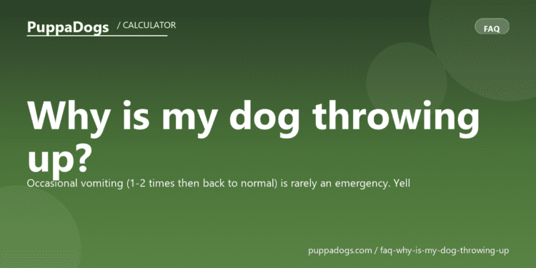 Why is my dog throwing up? - PuppaDogs FAQ