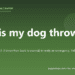 Why is my dog throwing up? - PuppaDogs FAQ