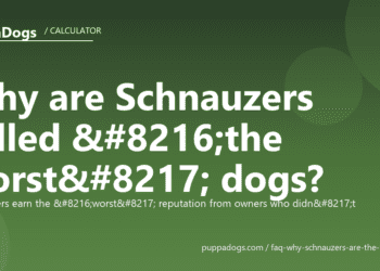 Why are Schnauzers called ‘the worst’ dogs? - PuppaDogs FAQ
