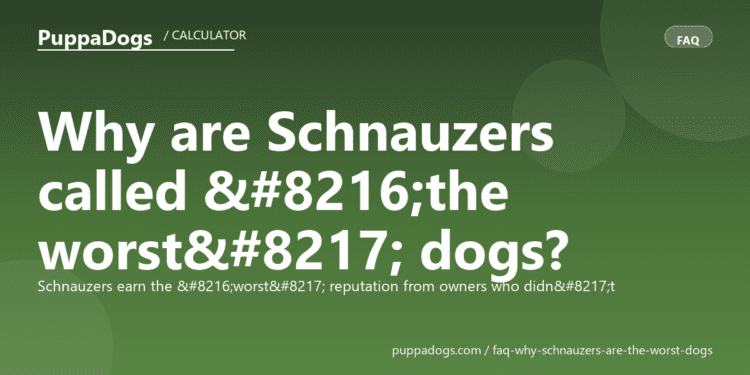 Why are Schnauzers called ‘the worst’ dogs? - PuppaDogs FAQ