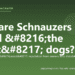 Why are Schnauzers called ‘the worst’ dogs? - PuppaDogs FAQ