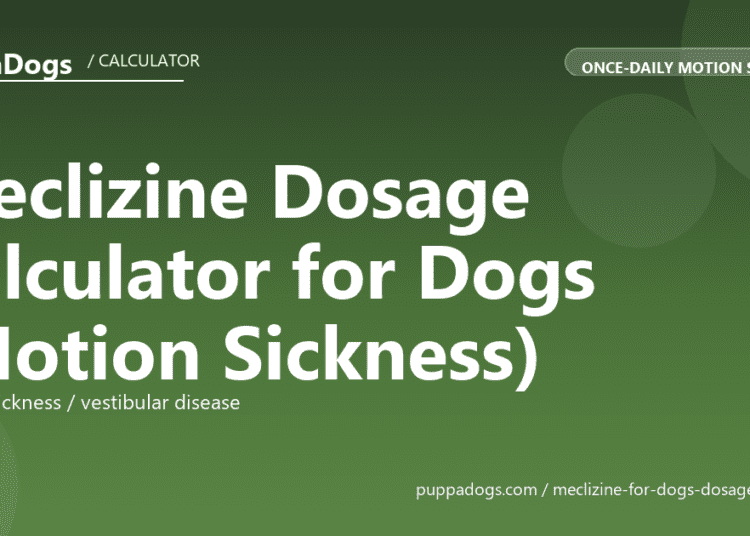 Meclizine Dosage Calculator for Dogs (Motion Sickness) - free PuppaDogs calculator