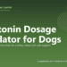 Melatonin Dosage Calculator for Dogs - free PuppaDogs calculator