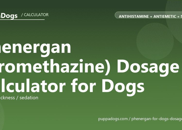 Phenergan (Promethazine) Dosage Calculator for Dogs - free PuppaDogs calculator