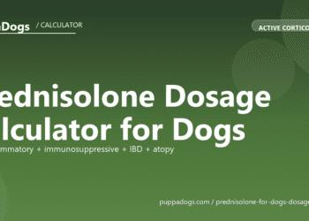 Prednisolone Dosage Calculator for Dogs - free PuppaDogs calculator