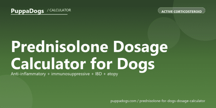Prednisolone Dosage Calculator for Dogs - free PuppaDogs calculator