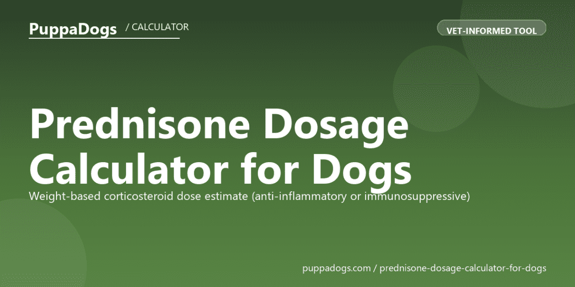 Prednisone Dosage Calculator for Dogs | Safe Dog Dose Guide