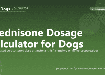 Prednisone Dosage Calculator for Dogs - free PuppaDogs calculator