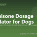 Prednisone Dosage Calculator for Dogs - free PuppaDogs calculator