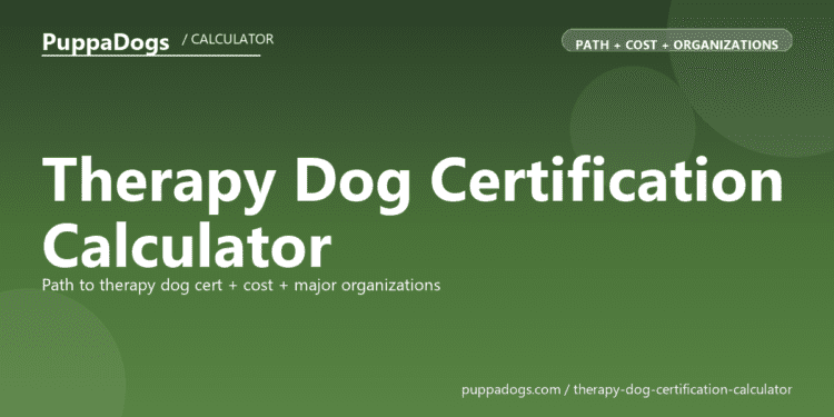 Therapy Dog Certification Calculator - free PuppaDogs calculator